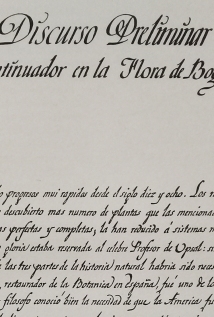 Manuscrito en el libro Expedición Botánica del Nuevo Reyno de Granada, fotografía por Valentina Lopera Marulanda